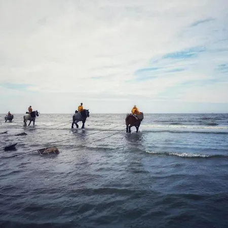 Appartamento On The Coast With Access Oostduinkerke