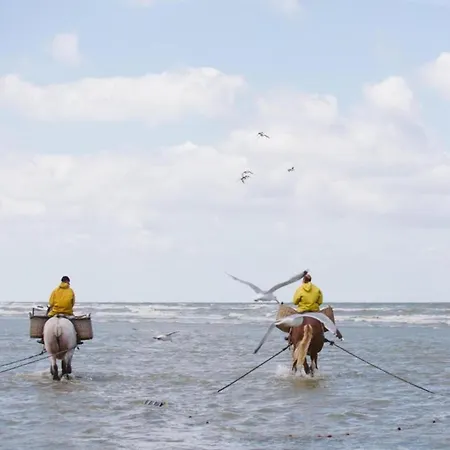 Apartment On The Coast With Access *