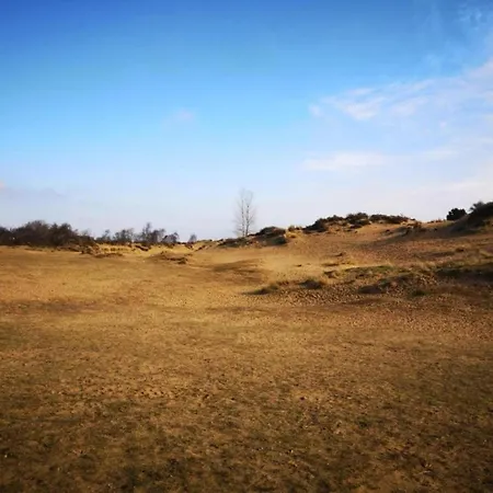On The Coast With Access * Oostduinkerke